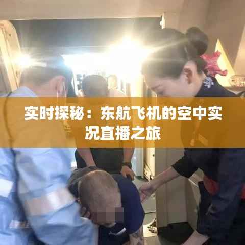 实时探秘:东航飞机的空中实况直播之旅