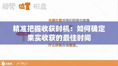 精准把握收获时机：如何确定果实收获的最佳时间
