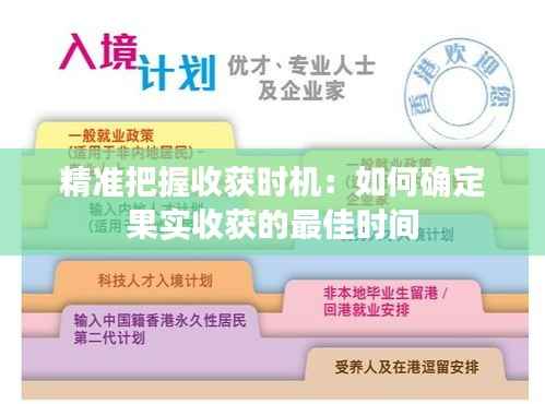 精准把握收获时机:如何确定果实收获的最佳时间
