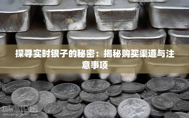 探寻实时银子的秘密:揭秘购买渠道与注意事项