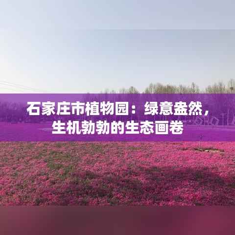 石家庄市植物园：绿意盎然，生机勃勃的生态画卷
