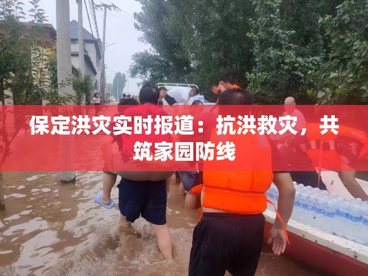 保定洪灾实时报道：抗洪救灾，共筑家园防线