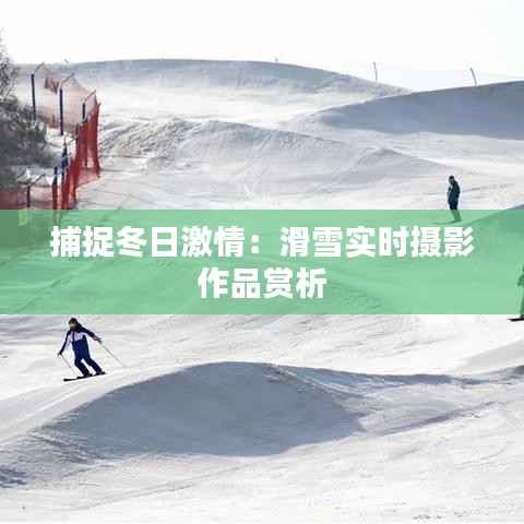 捕捉冬日激情：滑雪实时摄影作品赏析
