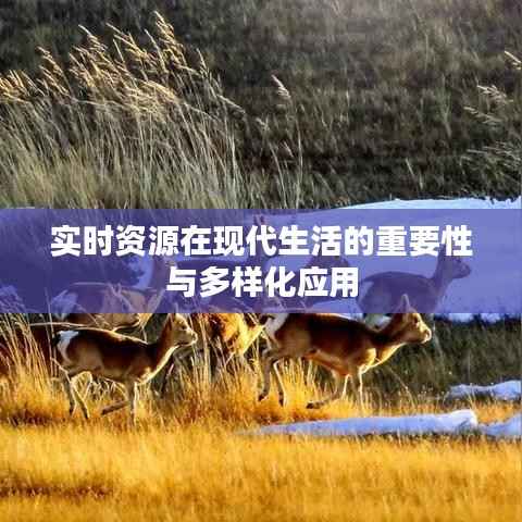 实时资源在现代生活的重要性与多样化应用