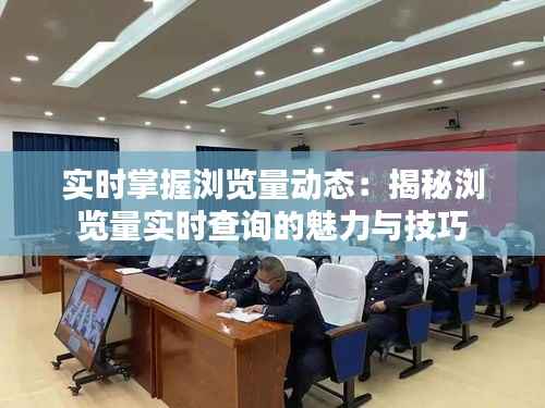 实时掌握浏览量动态:揭秘浏览量实时查询的魅力与技巧