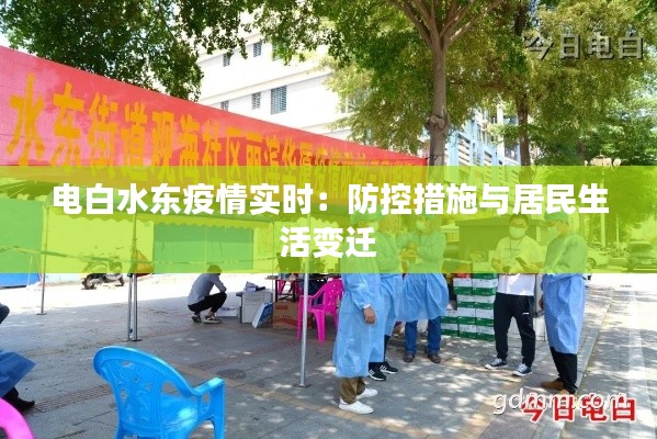 电白水东疫情实时:防控措施与居民生活变迁