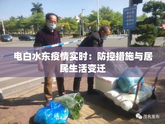 电白水东疫情实时:防控措施与居民生活变迁