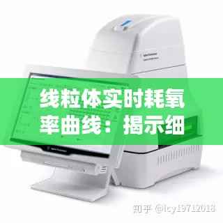 线粒体实时耗氧率曲线：揭示细胞能量代谢的动态奥秘