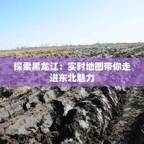 探索黑龙江:实时地图带你走进东北魅力