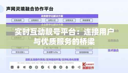 实时互动靓号平台：连接用户与优质服务的桥梁