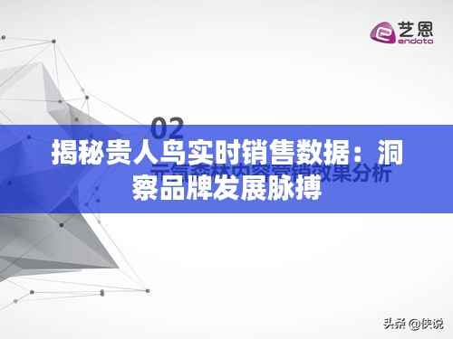 揭秘贵人鸟实时销售数据：洞察品牌发展脉搏