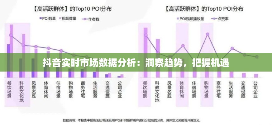 抖音实时市场数据分析:洞察趋势,把握机遇