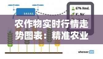 农作物实时行情走势图表:精准农业决策的得力助手