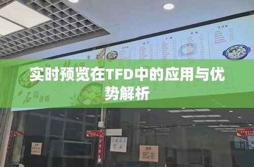 实时预览在TFD中的应用与优势解析