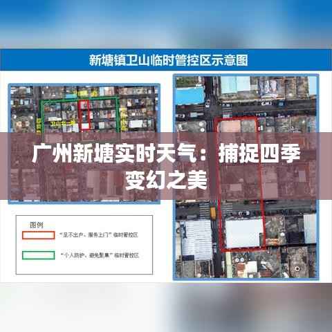 肝胆相照 第5页