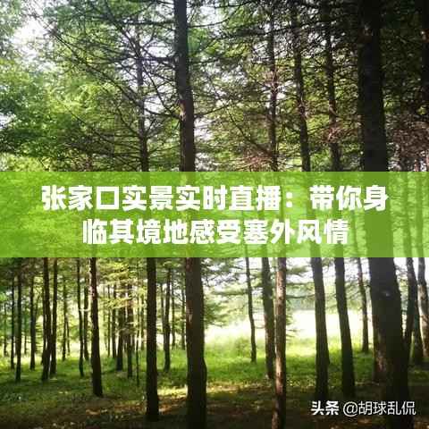 张家口实景实时直播:带你身临其境地感受塞外风情