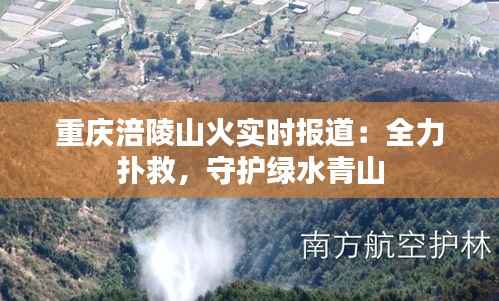 重庆涪陵山火实时报道：全力扑救，守护绿水青山