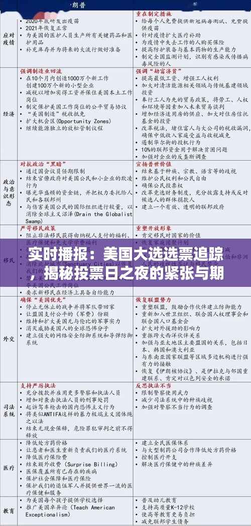 实时播报:美国大选选票追踪,揭秘投票日之夜的紧张与期待