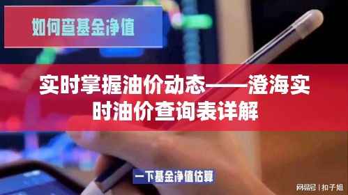 实时掌握油价动态——澄海实时油价查询表详解