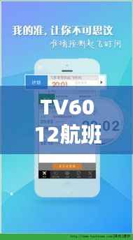 TV6012航班实时动态查询:您的飞行助手