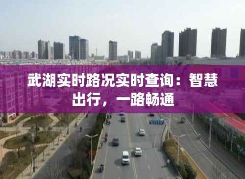 武湖实时路况实时查询:智慧出行,一路畅通