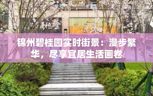 锦州碧桂园实时街景:漫步繁华,尽享宜居生活画卷