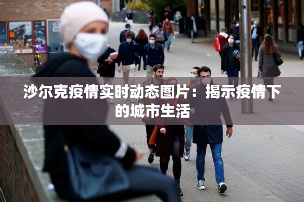 沙尔克疫情实时动态图片:揭示疫情下的城市生活