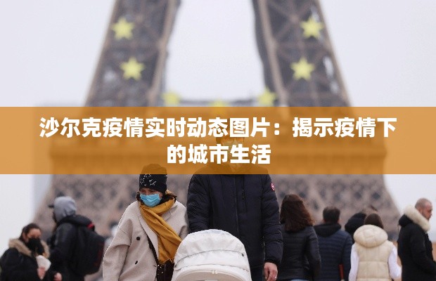 沙尔克疫情实时动态图片:揭示疫情下的城市生活