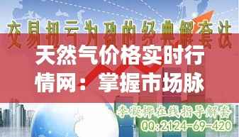 天然气价格实时行情网:掌握市场脉搏,助力企业决策