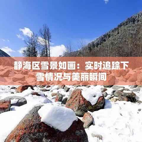 静海区雪景如画：实时追踪下雪情况与美丽瞬间