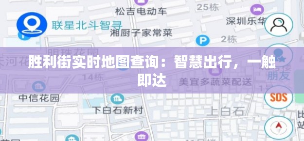 胜利街实时地图查询:智慧出行,一触即达