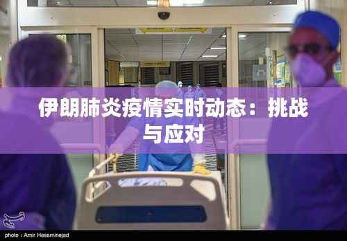 伊朗肺炎疫情实时动态:挑战与应对