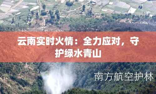 云南实时火情:全力应对,守护绿水青山