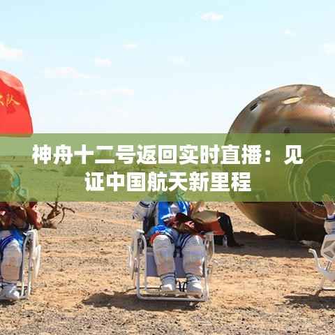 鸢飞戾天 第5页