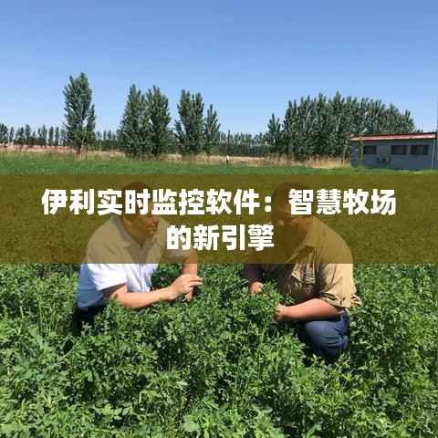 伊利实时监控软件:智慧牧场的新引擎
