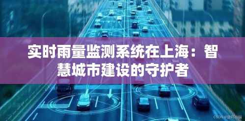 实时雨量监测系统在上海：智慧城市建设的守护者
