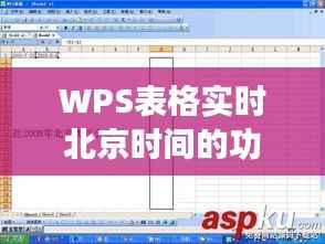 WPS表格实时北京时间的功能解析