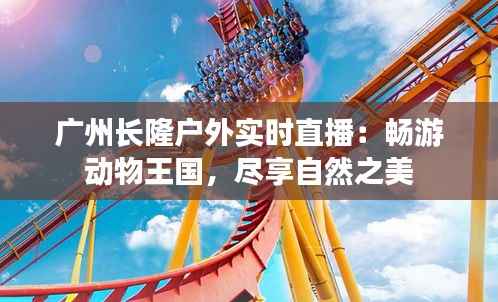 广州长隆户外实时直播:畅游动物王国,尽享自然之美