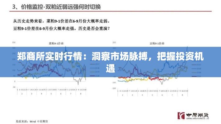 郑商所实时行情:洞察市场脉搏,把握投资机遇