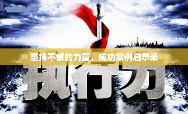 坚持不懈的力量,成功案例启示录