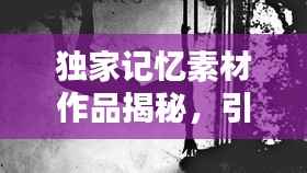 独家记忆素材作品揭秘,引人入胜的内容,不容错过!