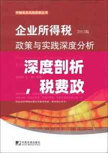 深度剖析,税费政策落实不力的问题与解决之道