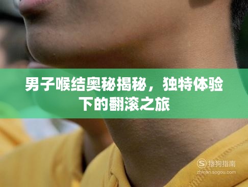男子喉结奥秘揭秘,独特体验下的翻滚之旅