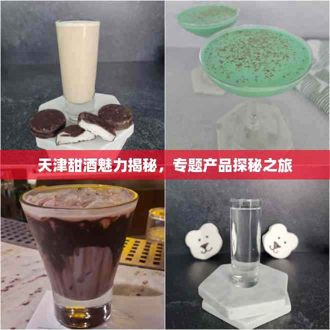 天津甜酒魅力揭秘,专题产品探秘之旅