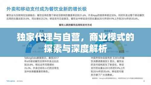 独家代理与自营，商业模式的探索与深度解析