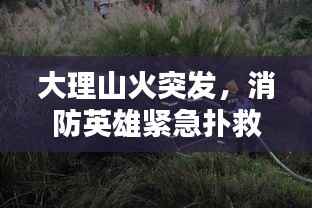 大理山火突发，消防英雄紧急扑救