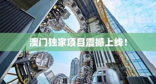 澳门独家项目震撼上线！