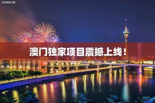 澳门独家项目震撼上线!