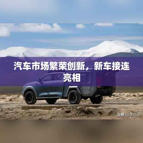 汽车市场繁荣创新，新车接连亮相