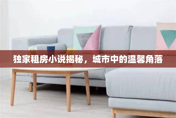独家租房小说揭秘,城市中的温馨角落